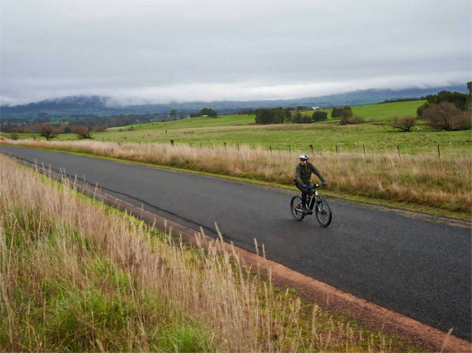 Enjoy Your Ebike Riding Tour in California